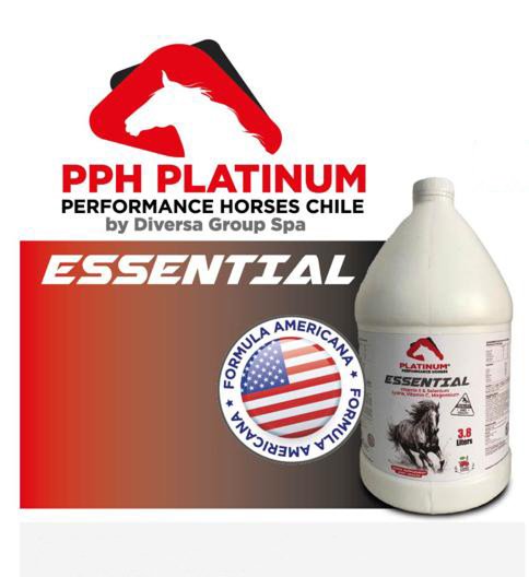 Inicio Essential