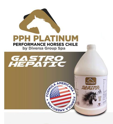 Inicio Gastro Hepatic 1