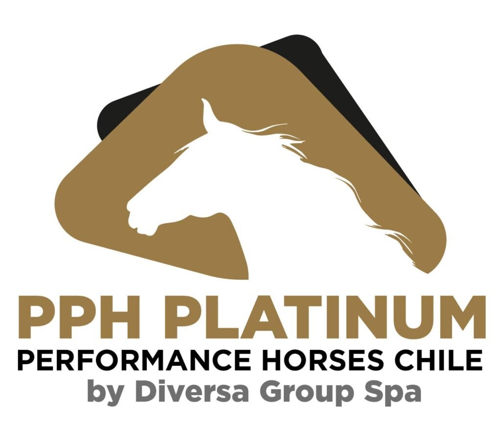 Logo Platinum